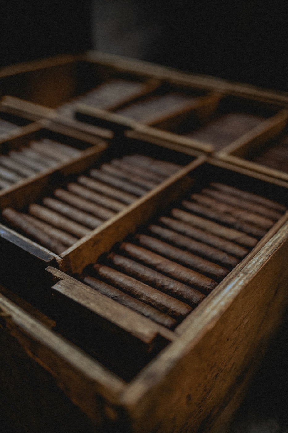Theodora Gordo — custom personalized cigar with bespoke band design